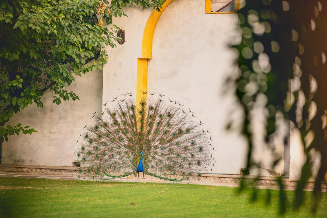 Diggi Palace - A City Center Hidden Heritage Gem Jaipur Luaran gambar